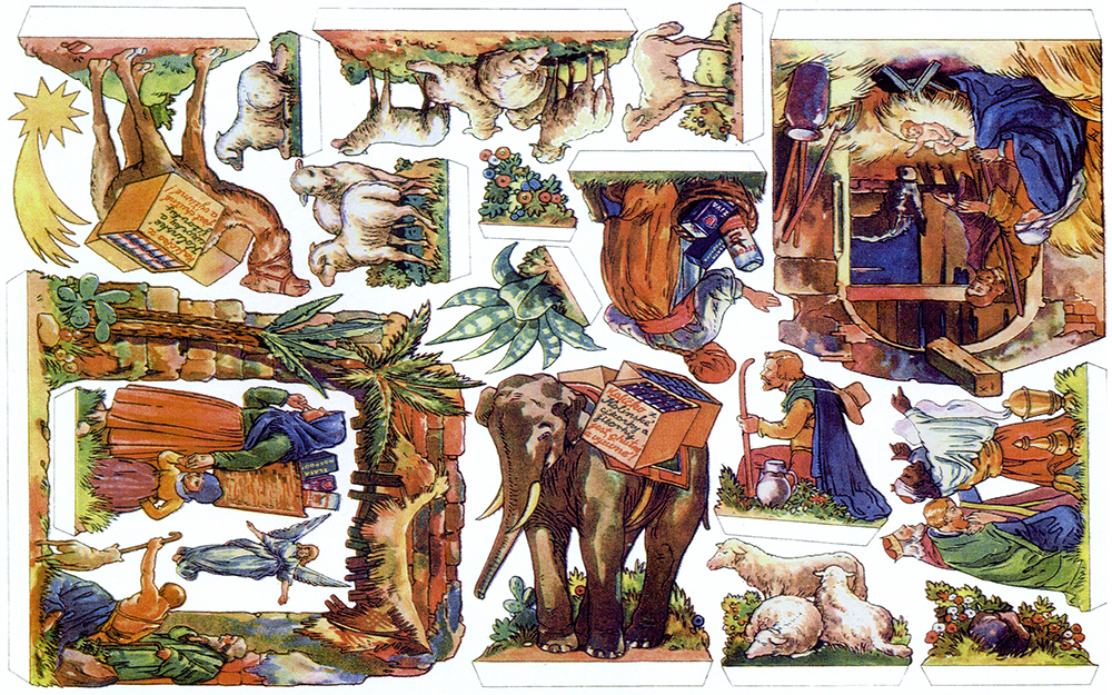 Kol�nsk� cikorka III