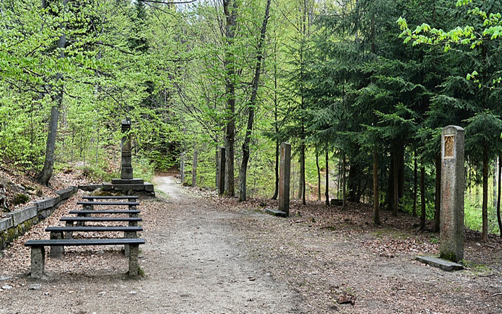 K��ov� cesta ve Cvikov�